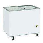 Congelatore a Pozzetto 300/400/500 Lt con Top in Vetro Scorrevole